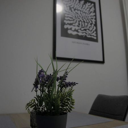 Swan Apartments Nuremberg ภายนอก รูปภาพ